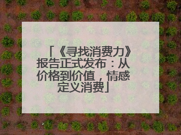 《寻找消费力》报告正式发布：从价格到价值，情感定义消费