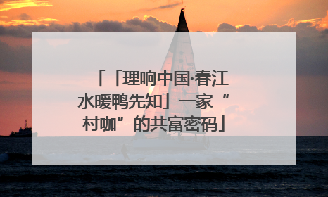 「理响中国·春江水暖鸭先知」一家“村咖”的共富密码