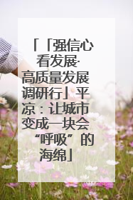 「强信心 看发展·高质量发展调研行」平凉：让城市变成一块会“呼吸”的海绵