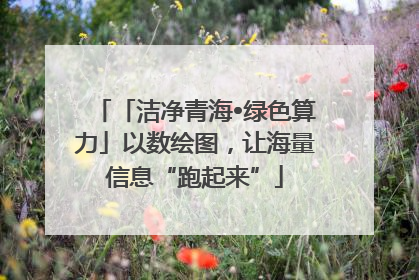 「洁净青海•绿色算力」以数绘图，让海量信息“跑起来”