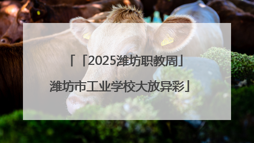 「2025潍坊职教周」潍坊市工业学校大放异彩