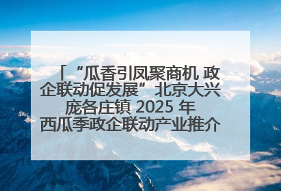 “瓜香引凤聚商机 政企联动促发展”北京大兴庞各庄镇 2025 年西瓜季政企联动产业推介活动圆满举行