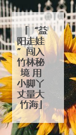 “益阳走娃”闯入竹林秘境 用小脚丫丈量大竹海