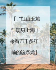 “红山玉龙”现身上海！来看五千多年前的这条龙