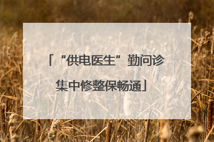 “供电医生”勤问诊 集中修整保畅通