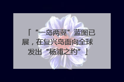 “一岛两翼”蓝图已展，在复兴岛面向全球发出“杨浦之约”