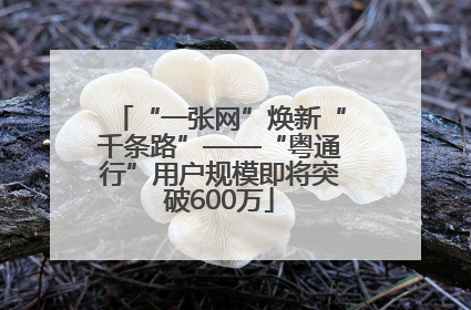 “一张网”焕新“千条路”——“粤通行”用户规模即将突破600万