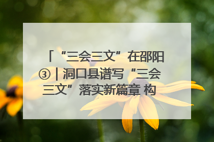 “三会三文”在邵阳③｜洞口县谱写“三会三文”落实新篇章 构建协同联动大格局