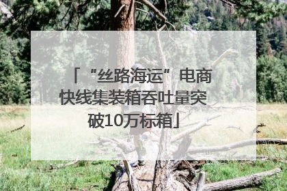 “丝路海运”电商快线集装箱吞吐量突破10万标箱