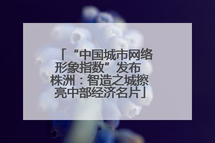 “中国城市网络形象指数”发布 株洲：智造之城擦亮中部经济名片