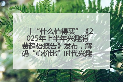 “什么值得买”《2025年上半年兴趣消费趋势报告》发布，解码“心价比”时代兴趣消费新范式