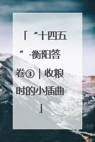 “十四五”·衡阳答卷③｜收粮时的小插曲