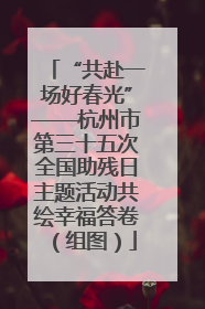 “共赴一场好春光”——杭州市第三十五次全国助残日主题活动共绘幸福答卷（组图）