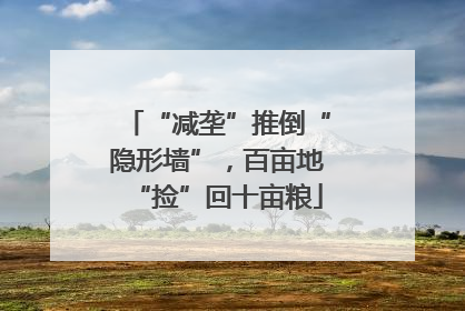 “减垄”推倒“隐形墙”，百亩地“捡”回十亩粮