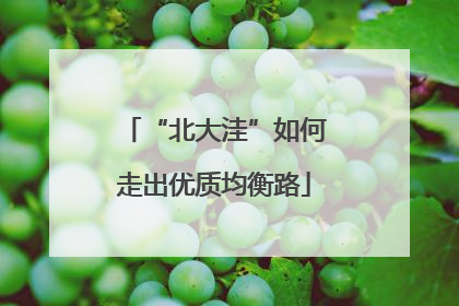 “北大洼”如何走出优质均衡路