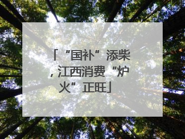 “国补”添柴，江西消费“炉火”正旺