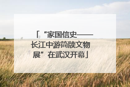 “家国信史——长江中游简牍文物展”在武汉开幕