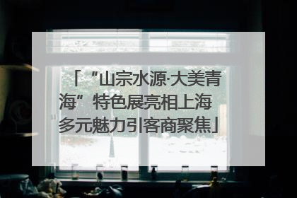 “山宗水源·大美青海”特色展亮相上海 多元魅力引客商聚焦