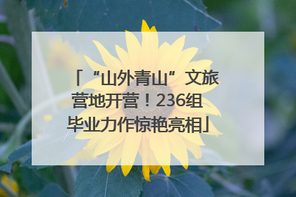 “山外青山”文旅营地开营！236组毕业力作惊艳亮相