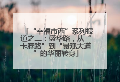 “幸福市西”系列报道之二：盛华路，从“卡脖路”到“景观大道”的华丽转身