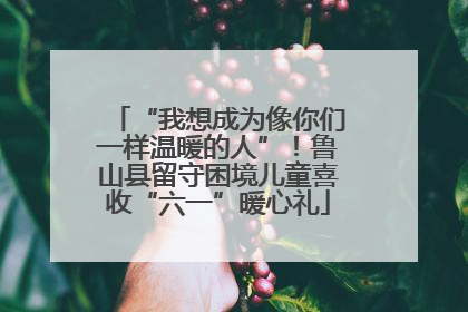 “我想成为像你们一样温暖的人”！鲁山县留守困境儿童喜收“六一”暖心礼