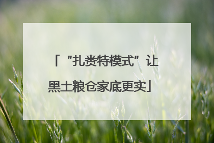 “扎赉特模式”让黑土粮仓家底更实