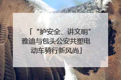 “护安全、讲文明”雅迪与包头公安共塑电动车骑行新风尚