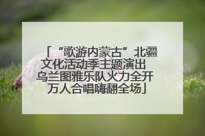 “歌游内蒙古”北疆文化活动季主题演出 乌兰图雅乐队火力全开 万人合唱嗨翻全场