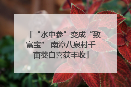 “水中参”变成“致富宝” 南漳八泉村千亩茭白喜获丰收