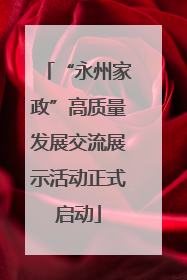“永州家政”高质量发展交流展示活动正式启动
