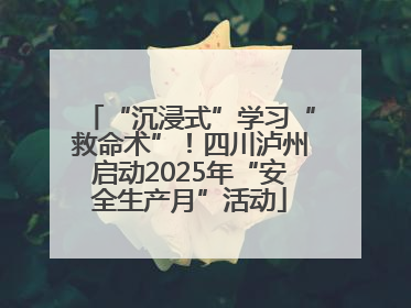 “沉浸式”学习“救命术”！四川泸州启动2025年“安全生产月”活动