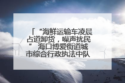 “海鲜运输车凌晨占道卸货，噪声扰民” 海口博爱街道城市综合行政执法中队：将联合交警加强长堤路一带巡逻