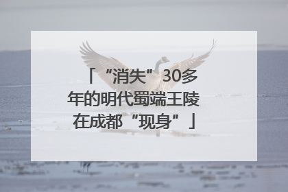 “消失”30多年的明代蜀端王陵在成都“现身”