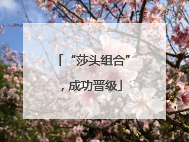 “莎头组合”，成功晋级