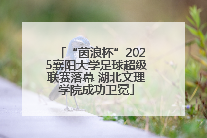 “茵浪杯”2025襄阳大学足球超级联赛落幕 湖北文理学院成功卫冕