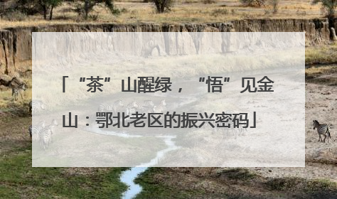 “茶”山醒绿，“悟”见金山：鄂北老区的振兴密码
