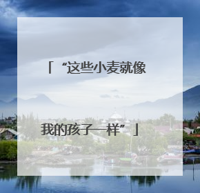 “这些小麦就像我的孩子一样”