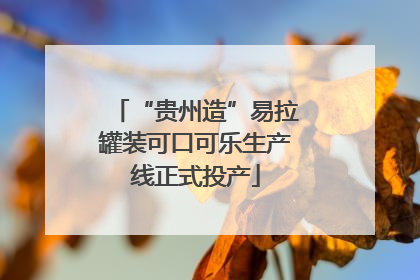 “贵州造”易拉罐装可口可乐生产线正式投产