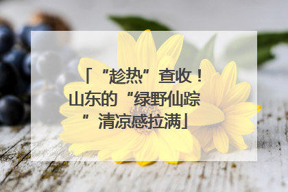 “趁热”查收！山东的“绿野仙踪”清凉感拉满