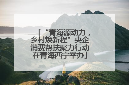 “青海源动力，乡村焕新程”央企消费帮扶聚力行动在青海西宁举办