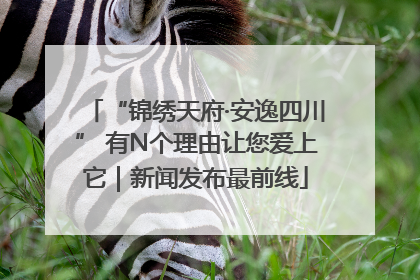 “锦绣天府·安逸四川” 有N个理由让您爱上它｜新闻发布最前线