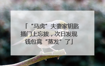 “马虎”夫妻家钥匙插门上忘拔，次日发现钱包竟“蒸发”了