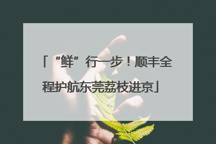 “鲜”行一步！顺丰全程护航东莞荔枝进京