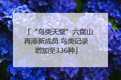“鸟类天堂”六盘山再添新成员 鸟类记录增加至336种