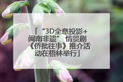 “3D全息投影+闽南非遗” 情景剧《侨批往事》推介活动在梧林举行