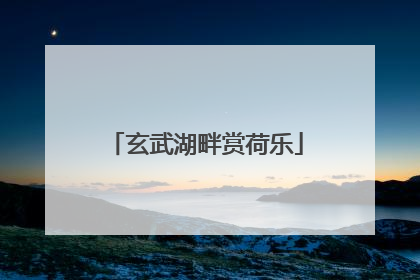 玄武湖畔赏荷乐