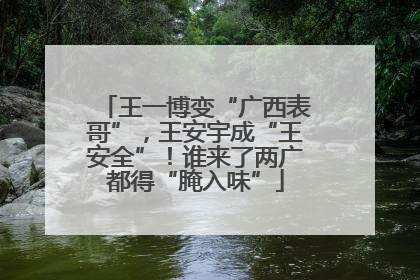 王一博变“广西表哥”，王安宇成“王安全”！谁来了两广都得“腌入味”