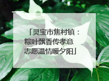 灵宝市焦村镇：粽叶飘香传孝意 志愿温情暖夕阳