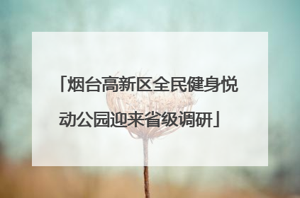 烟台高新区全民健身悦动公园迎来省级调研