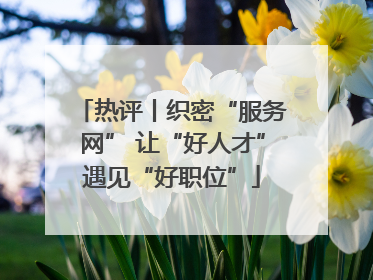 热评丨织密“服务网” 让“好人才”遇见“好职位”